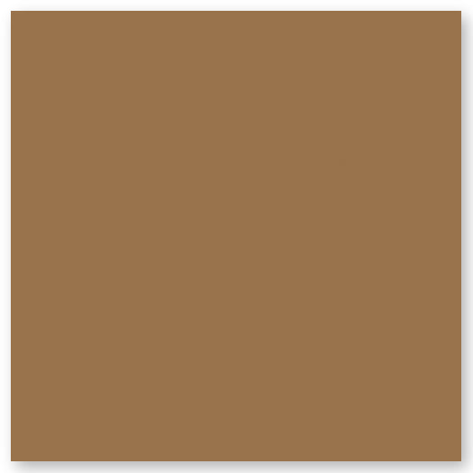 A square filled with a solid medium brown color and a slight shadow along the right and bottom edges.