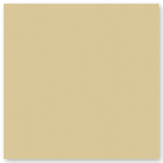 A plain, solid-colored square with a light beige or tan background.