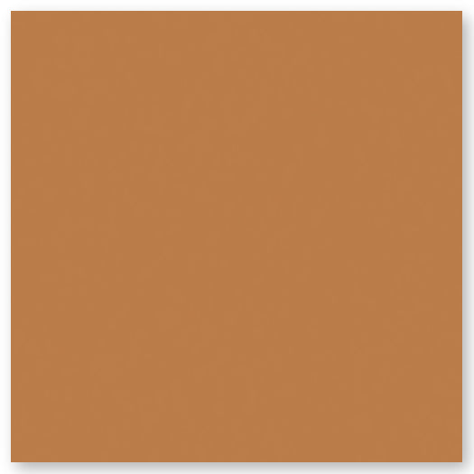 A plain, solid brownish-orange square with no patterns, textures, or distinguishable features.