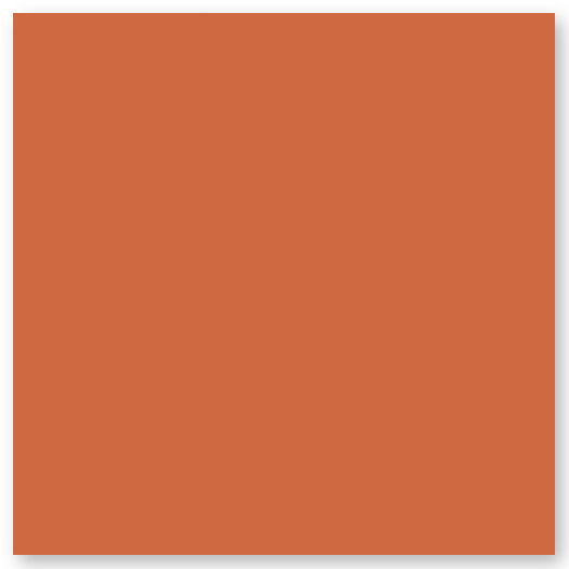 A solid square filled with a burnt orange color, shown against a white background with a subtle shadow.