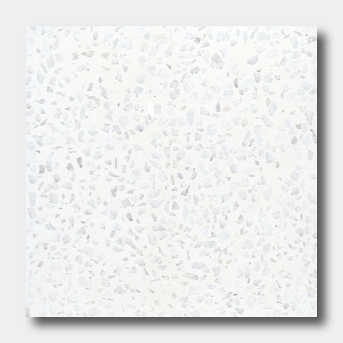 Terrazzo 8x8- Solid White
