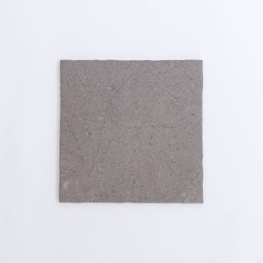 A single Toba Basilica R11 gray tile by New York Cement Tile, placed vertically on a plain white background.